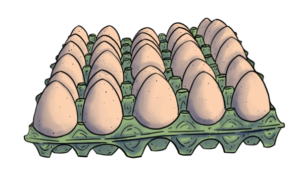 Tray of 40 grade a eggs