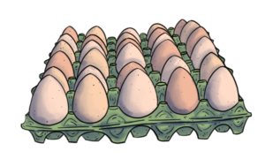 Tray of mixed eggs